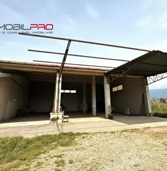 Foto annuncio 2