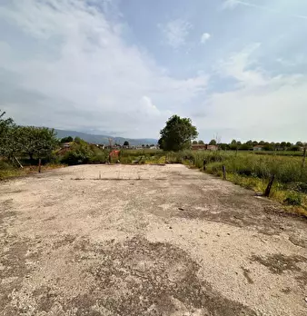 Foto annuncio 4
