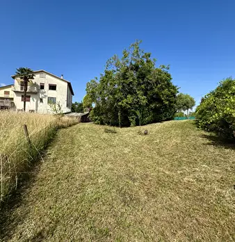 Foto annuncio 2