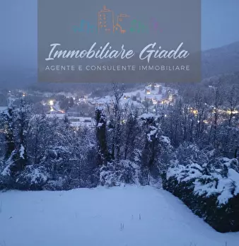 Foto annuncio 29