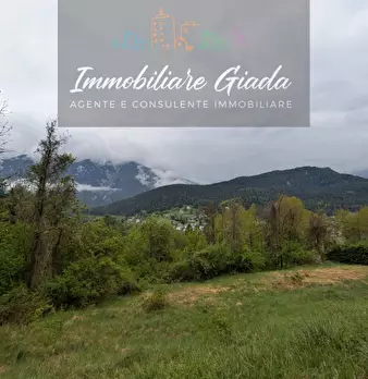 Foto annuncio 48