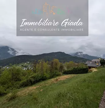 Foto annuncio 50