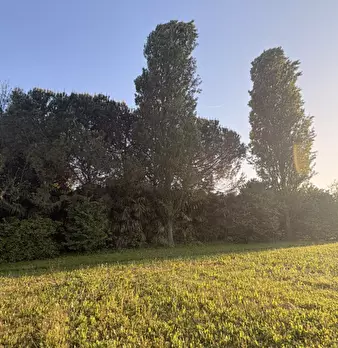 Foto annuncio 25