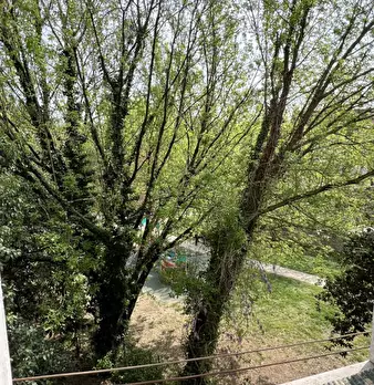 Foto annuncio 16