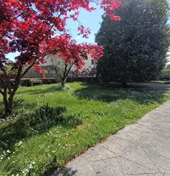 Foto annuncio 18