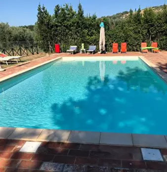 Foto annuncio 7