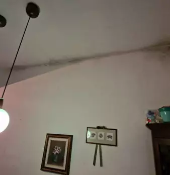 Foto annuncio 14