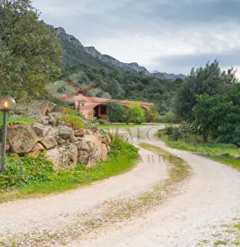 Foto annuncio 8