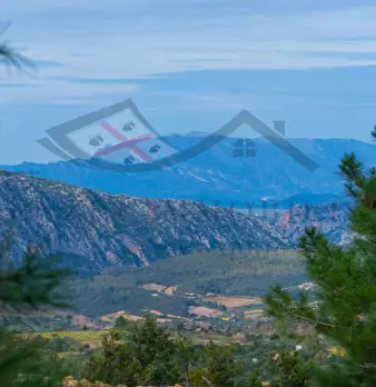 Foto annuncio 71