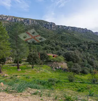Foto annuncio 115