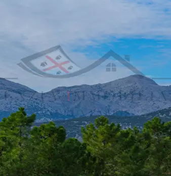Foto annuncio 118