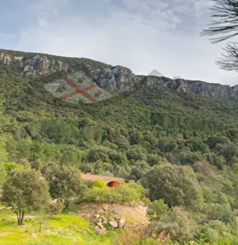 Foto annuncio 119