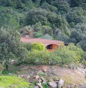 Foto annuncio 120