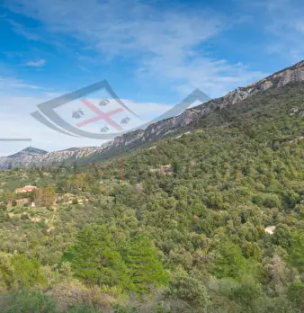 Foto annuncio 131