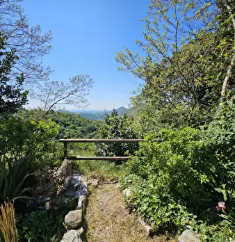 Foto annuncio 8