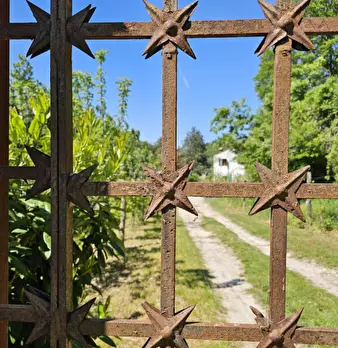 Foto annuncio 17