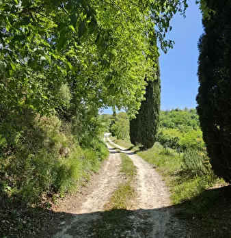 Foto annuncio 26