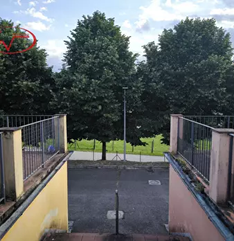 Foto annuncio 28