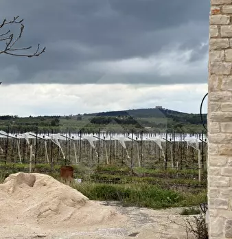 Foto annuncio 3