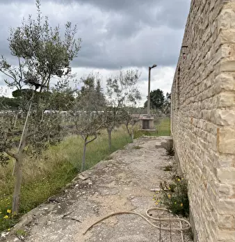 Foto annuncio 5