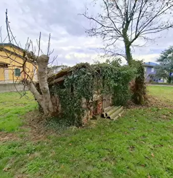 Foto annuncio 27