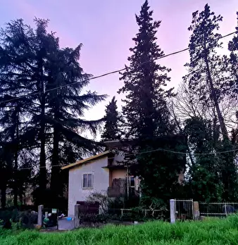 Foto annuncio 4