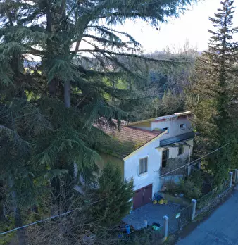 Foto annuncio 21