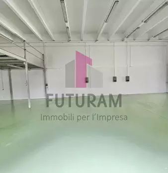 Foto annuncio 6