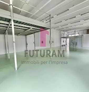Foto annuncio 7
