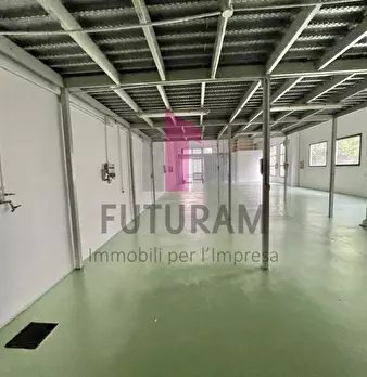 Foto annuncio 10