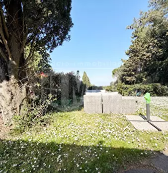 Foto annuncio 31