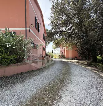 Foto annuncio 7