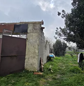 Foto annuncio 31