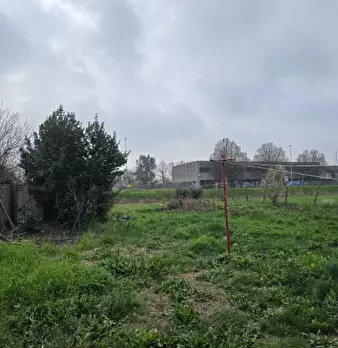 Foto annuncio 33