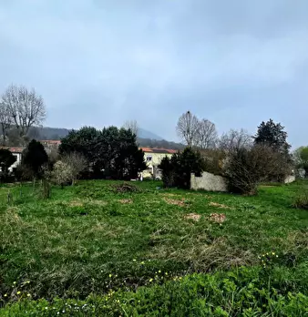 Foto annuncio 34