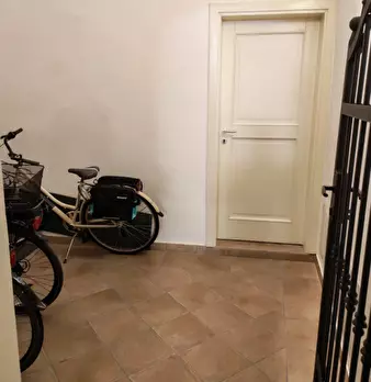 Foto annuncio 11