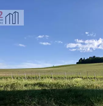 Foto annuncio 36