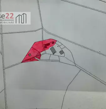 Foto annuncio 46
