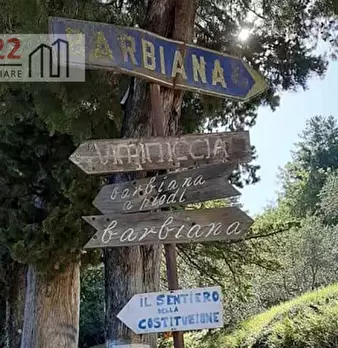 Foto annuncio 4