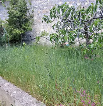 Foto annuncio 15