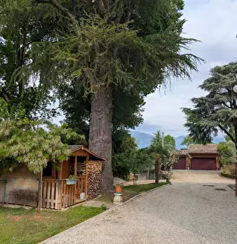Foto annuncio 6