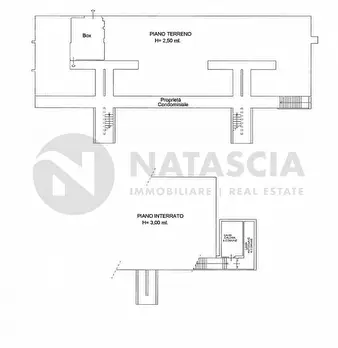 Foto annuncio 28