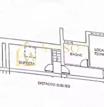 Foto annuncio 50