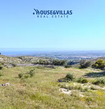 Foto annuncio 12