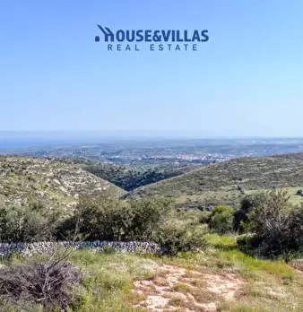 Foto annuncio 15