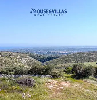 Foto annuncio 19