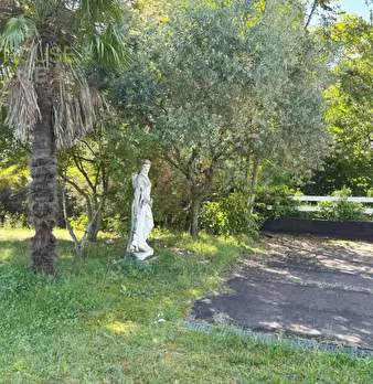 Foto annuncio 17