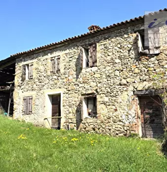 Foto annuncio 1