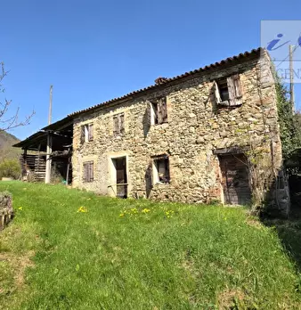 Foto annuncio 7