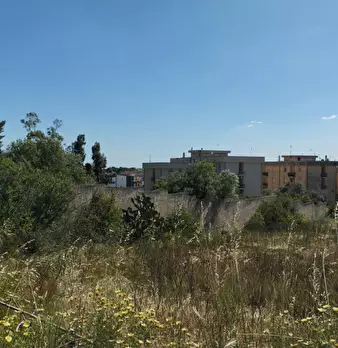 Foto annuncio 3